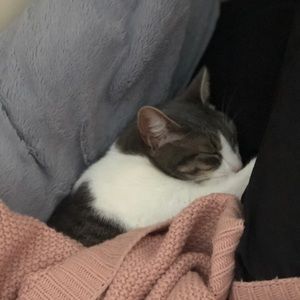 Meet your Posher, Sam